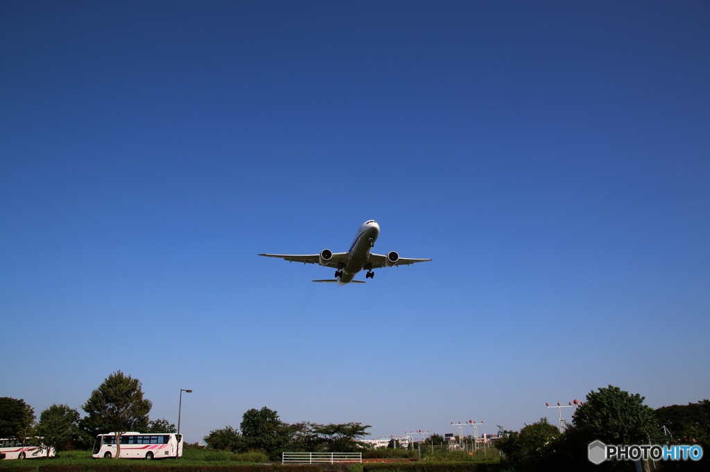 飛行機