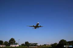 飛行機