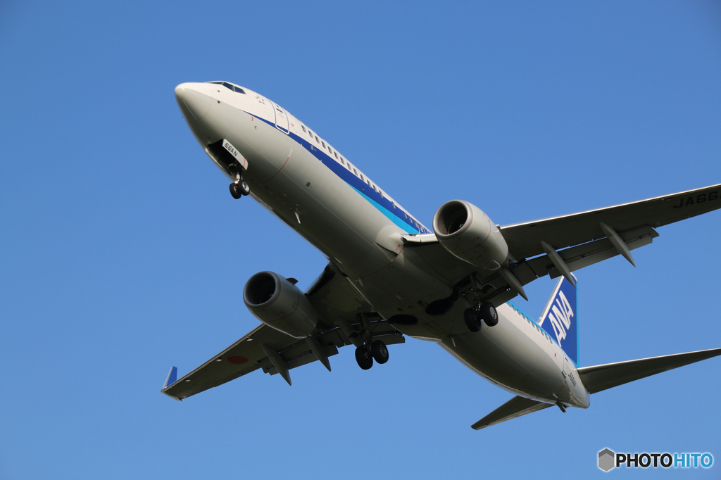 飛行機