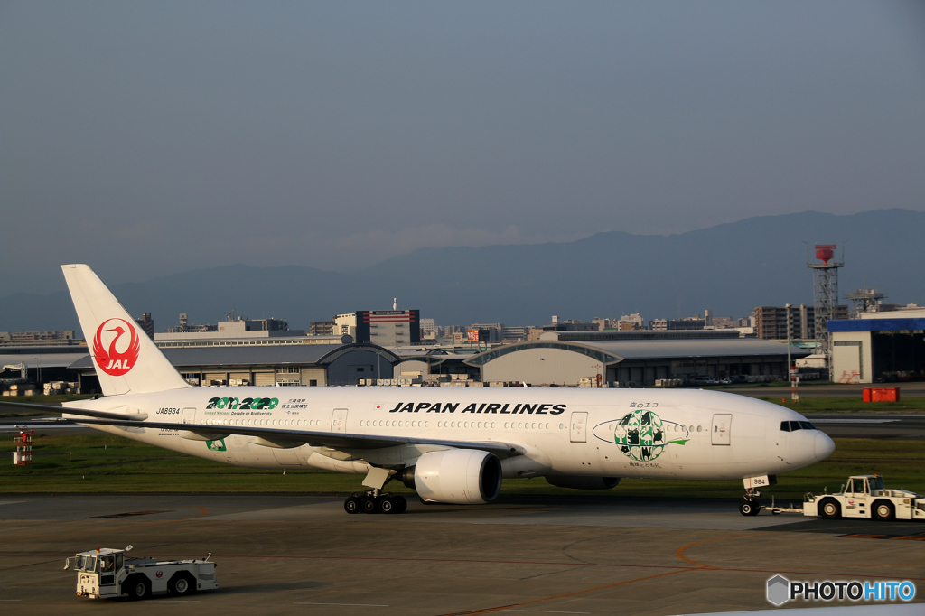 飛行機
