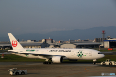 飛行機