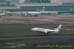 飛行機　JAL