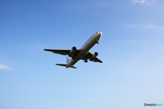 飛行機