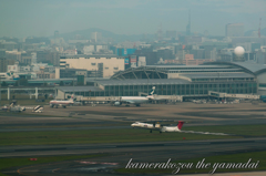 飛行機　JAL