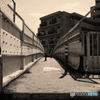 通学路