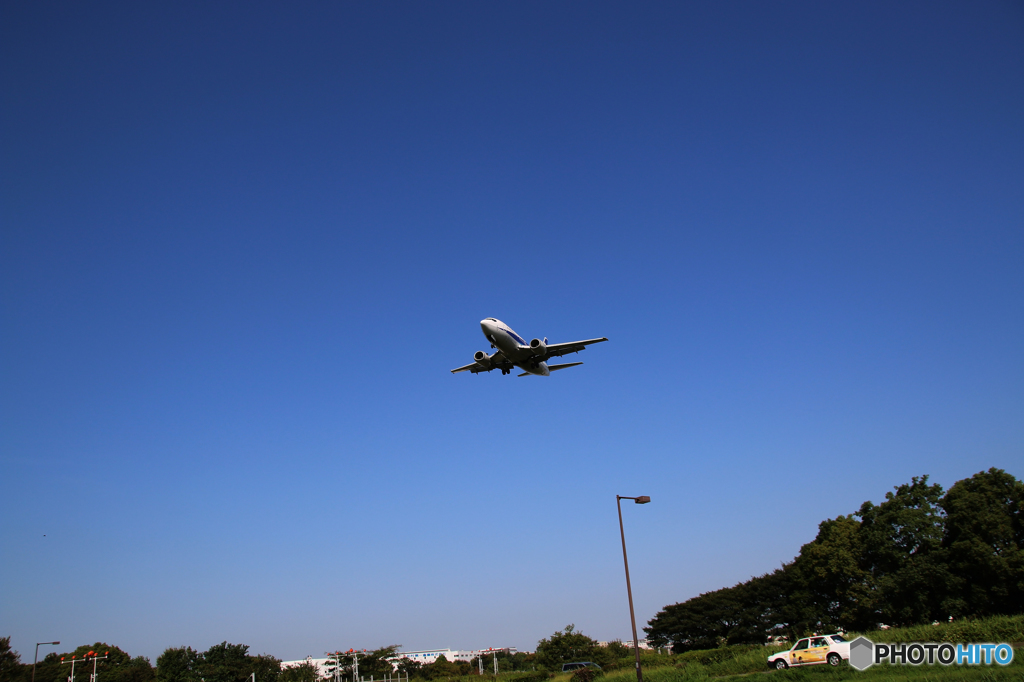 飛行機