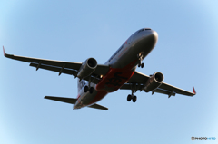 飛行機