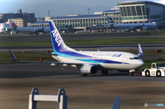 飛行機