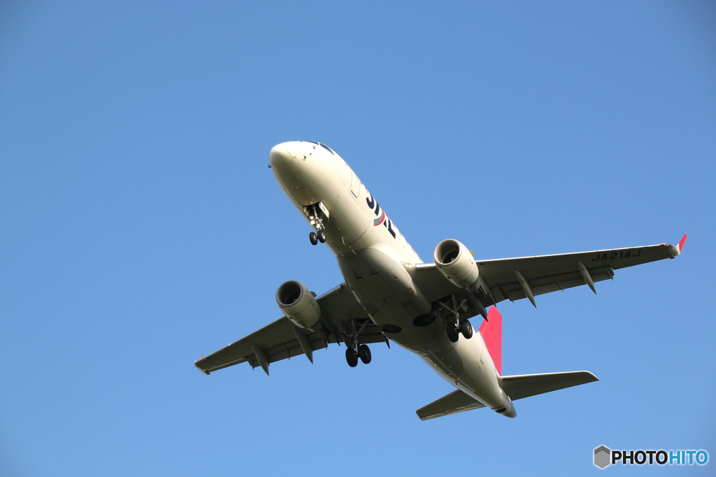 飛行機