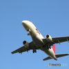 飛行機