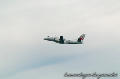 飛行機　JAL