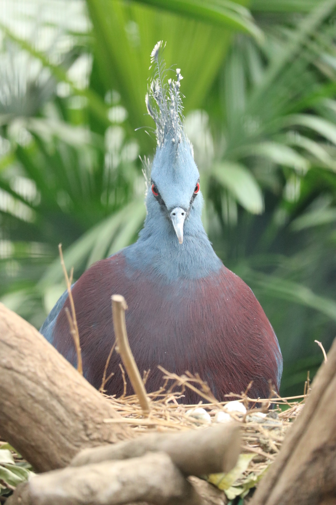 22299700806_c43de34bdb_o