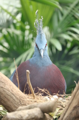 22299700806_c43de34bdb_o