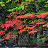 八幡平紅葉2