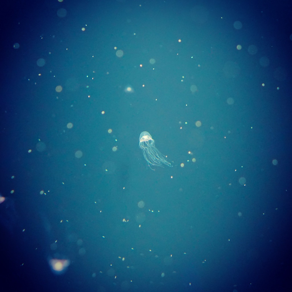 宇宙人？