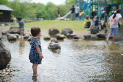 水辺に戸惑う