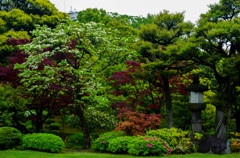 日本庭園２