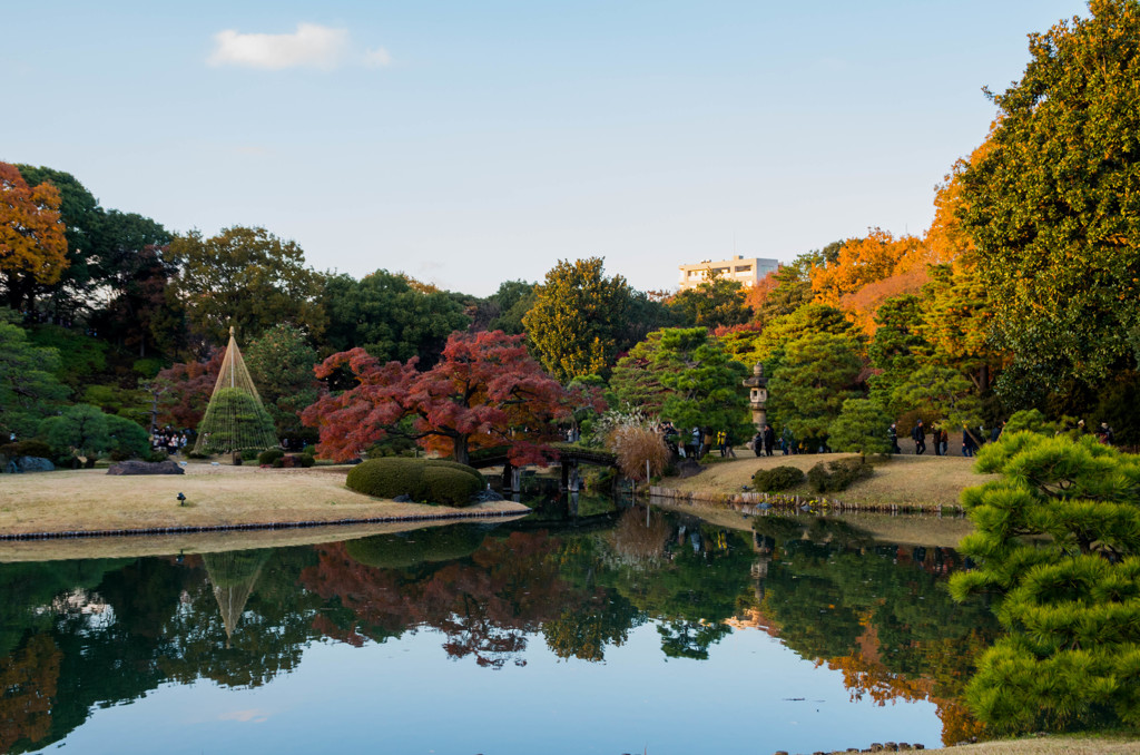日本庭園と紅葉