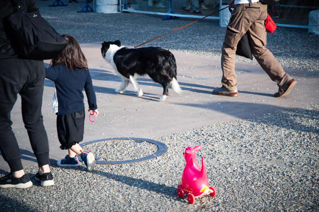 犬いぬ