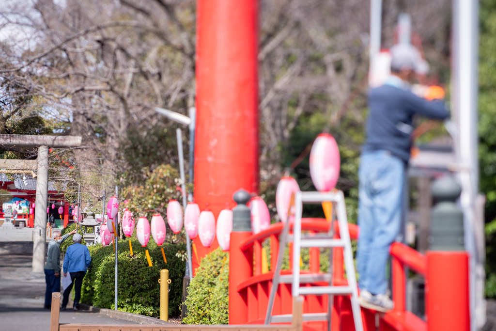 桜祭りの準備