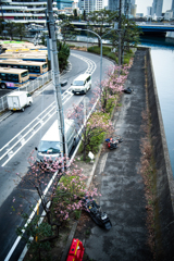 3台のバイク