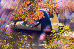 紅葉と池とボート