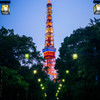 東京タワーと花嫁