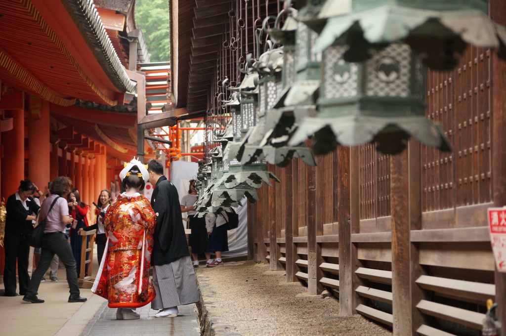 あっ結婚式だ！