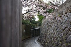 雨に濡れて尾道