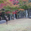 立ち位置ここでいいッスか？