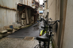 春雨じゃ、濡れてまいろう