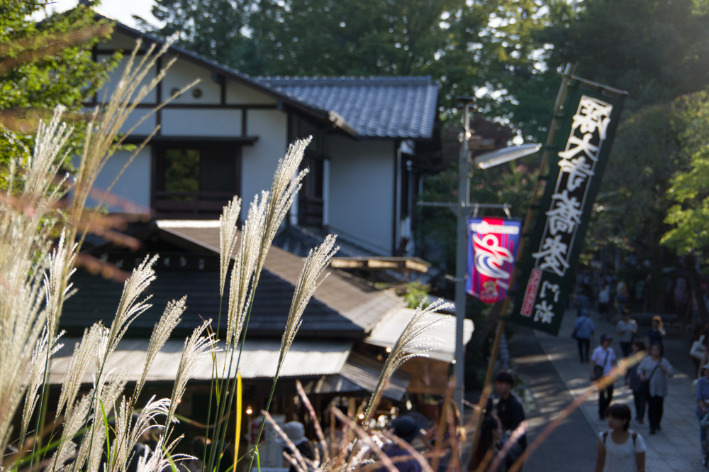 お散歩【深大寺②】