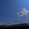 朝日を浴びて