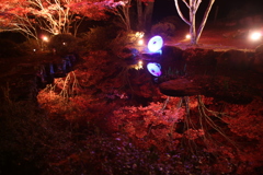 紅葉のライトアップ1