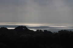光る海