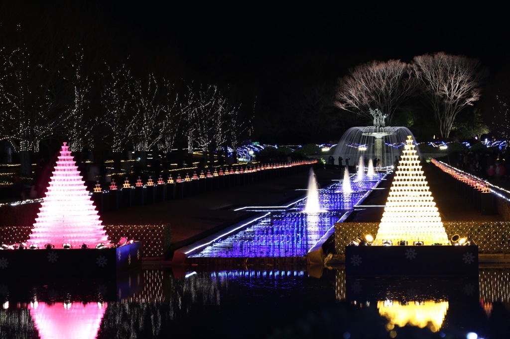 昭和記念公園イルミネーション