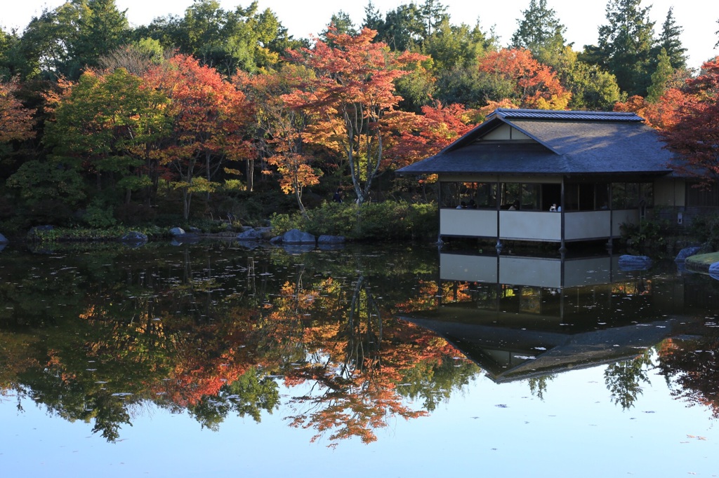 昭和記念公園