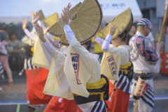 大和市　阿波踊り