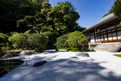 竹のお寺報国寺