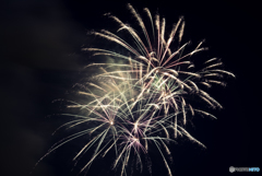 初めての花火撮影