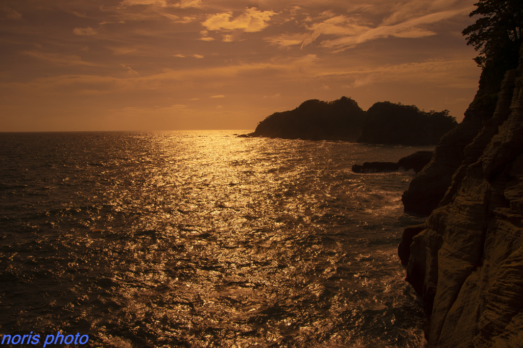 夏休みの思い出