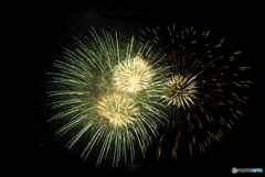 初めての花火撮影