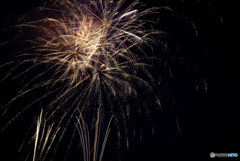 初めての花火撮影