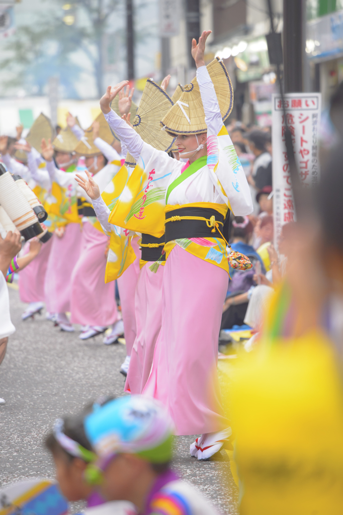 大和市　阿波踊り