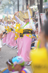 大和市　阿波踊り