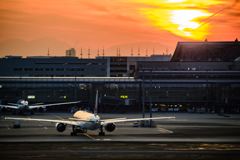 羽田空港