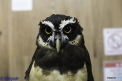 三井アウトレットパーク