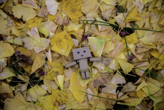 薬師池　紅葉散歩