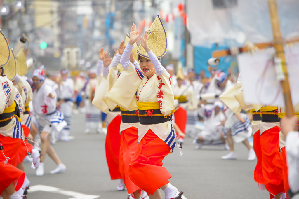 大和市　阿波踊り