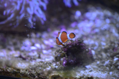 箱根園水族館